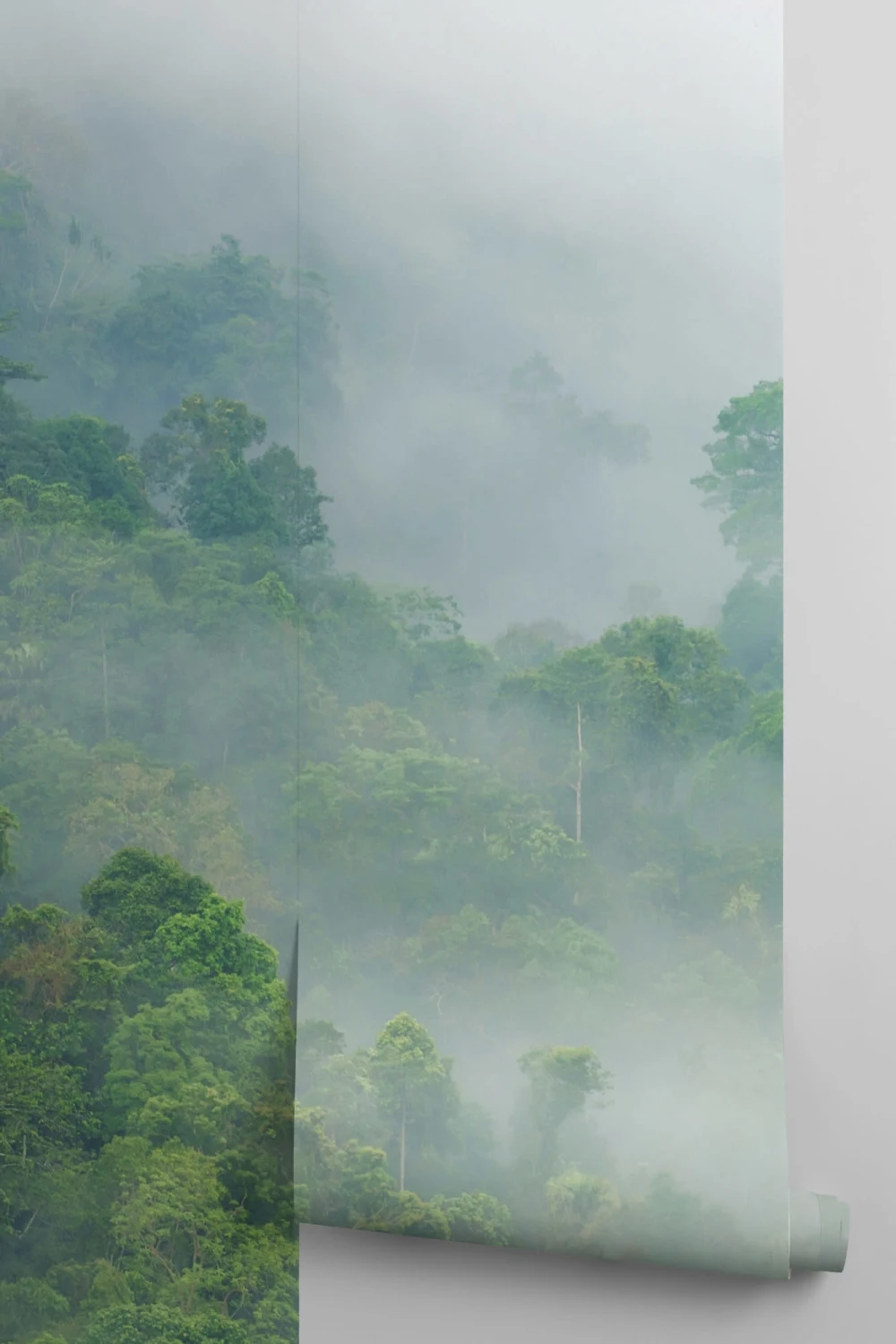 Misty Rainforest Wallpaper Mural