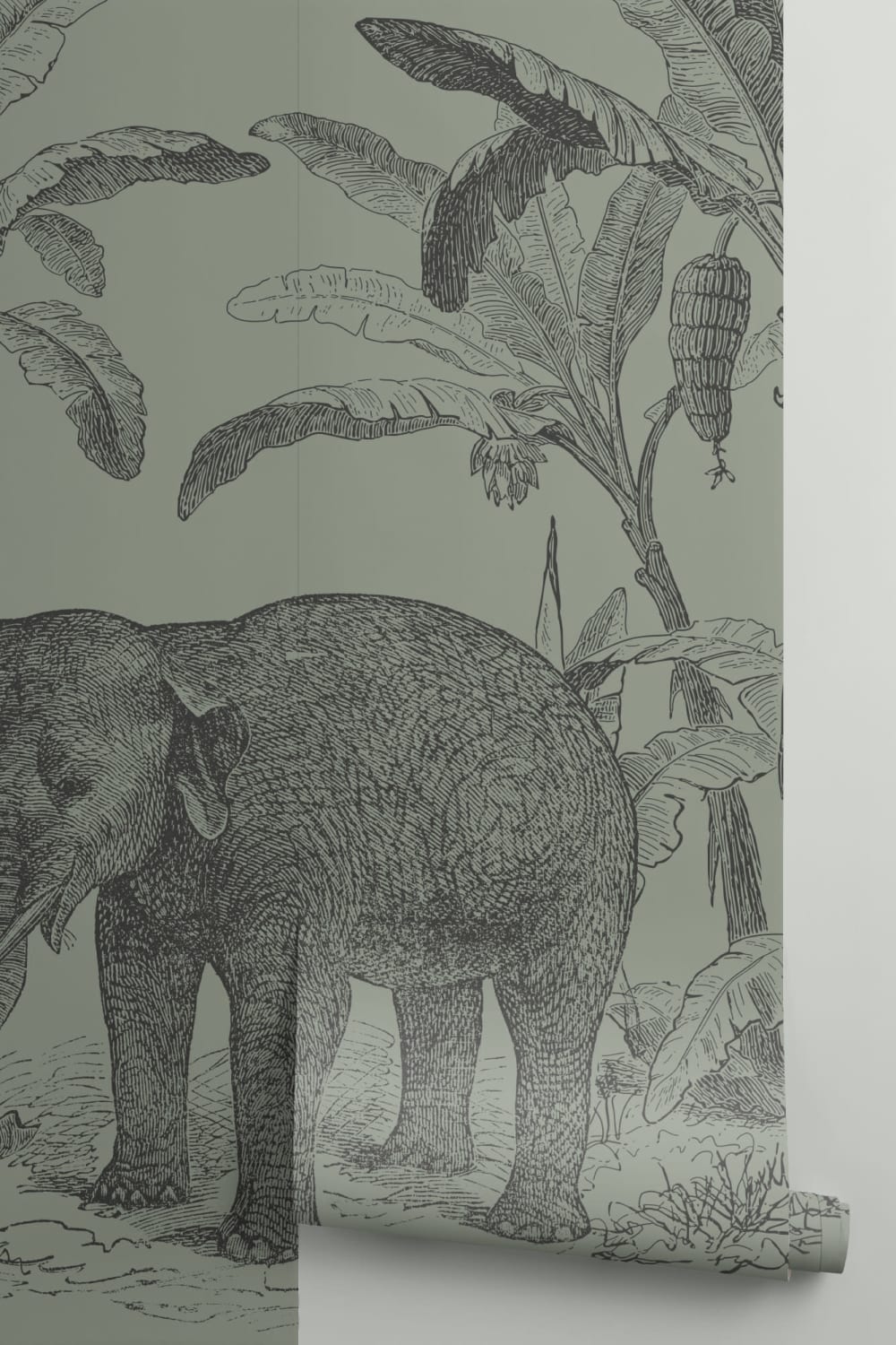 Panoramique Éléphant en Vert Foncé