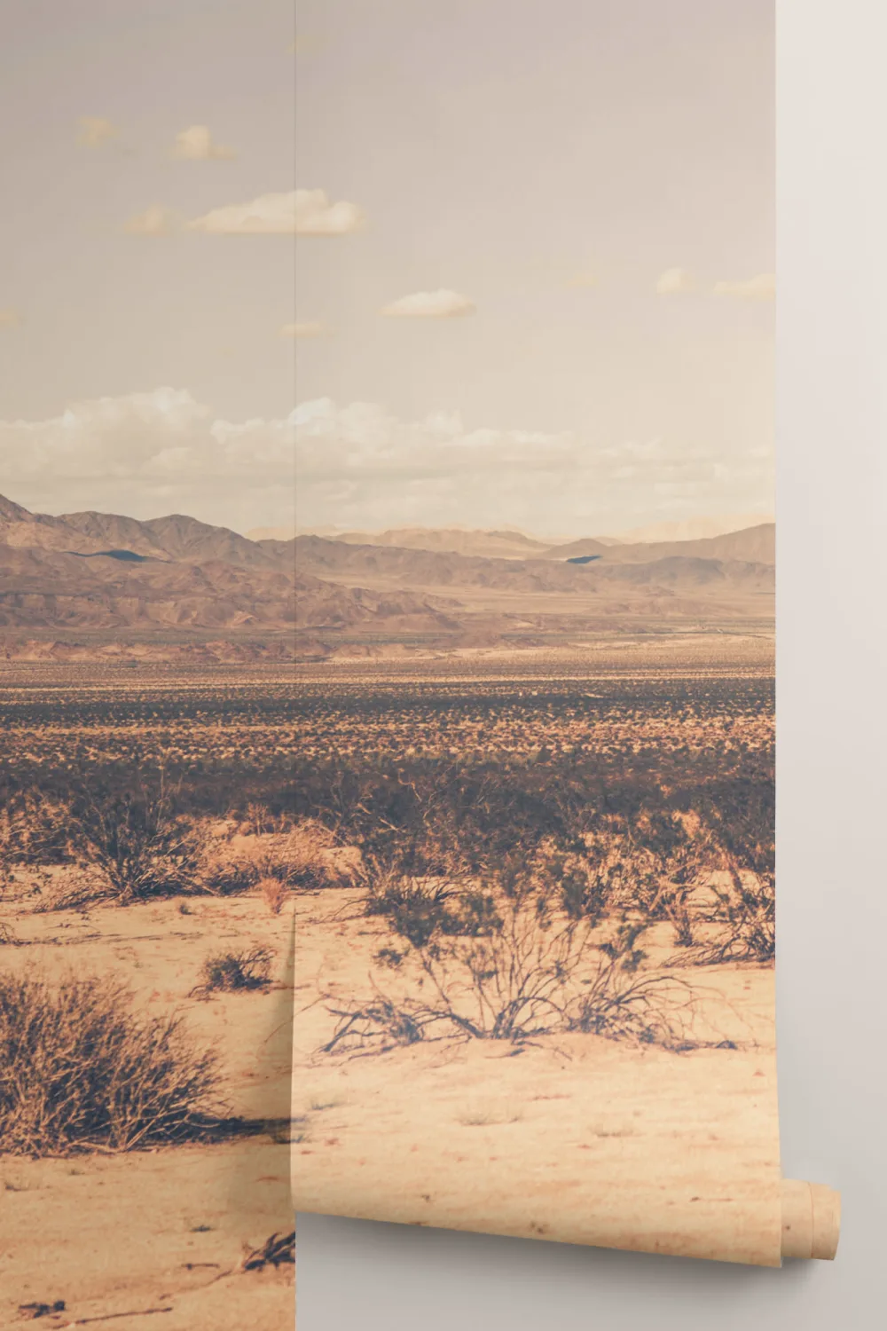 Arid Desert Wallpaper Mural