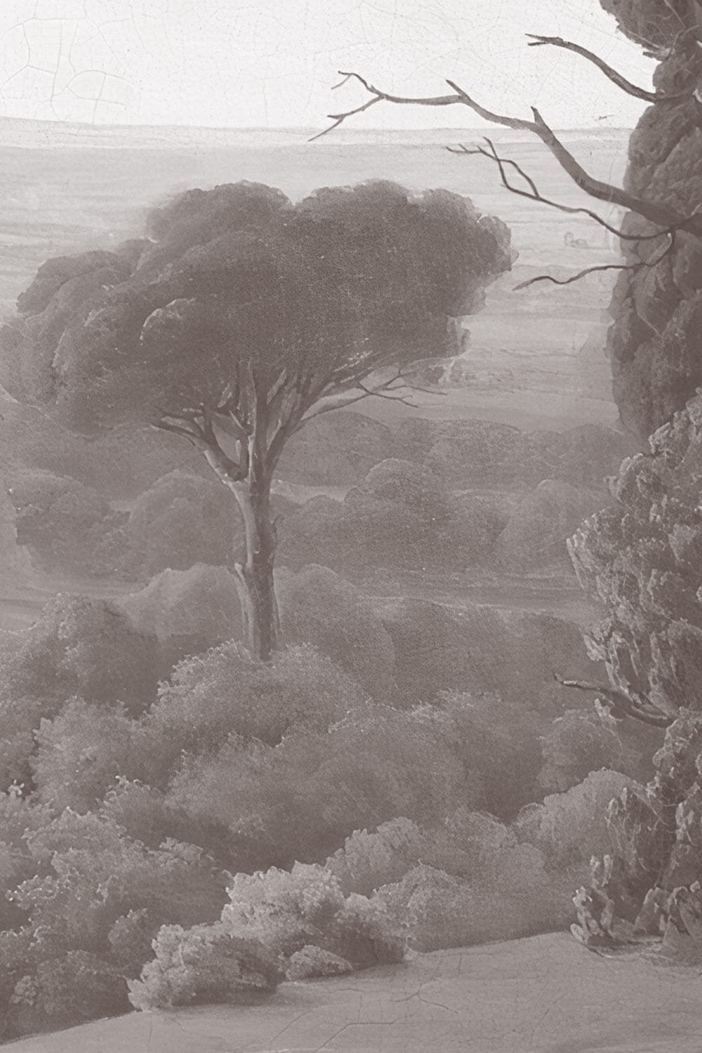 Carta da parati in grigio della pittura di paesaggio americana