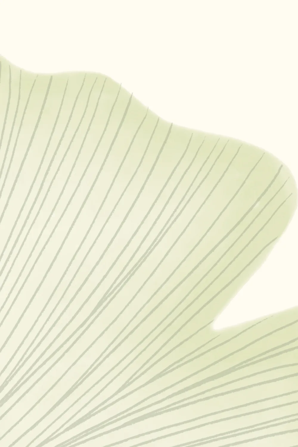 Groene Ginkgobladeren muurschildering