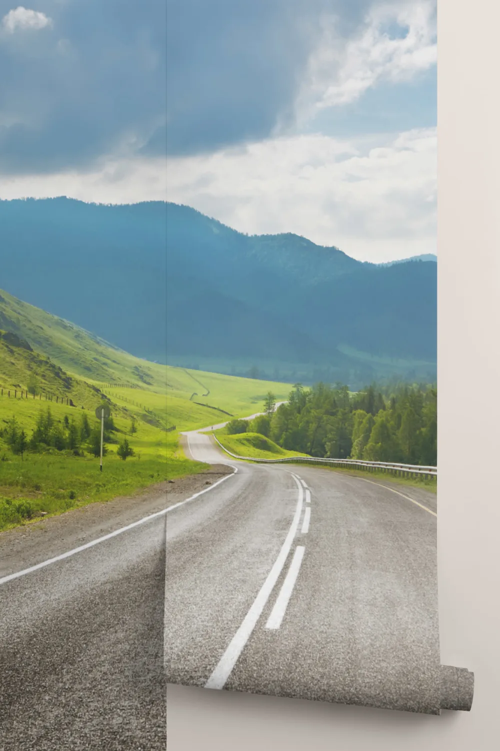Highland Pass Wallpaper Mural