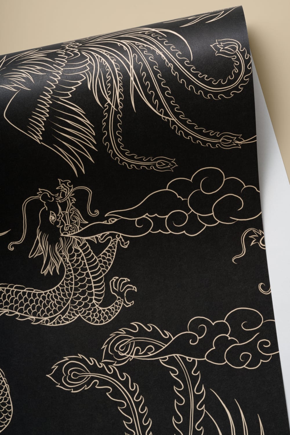 Dark Chinese Dragon and Phoenix Outline Wallpaper