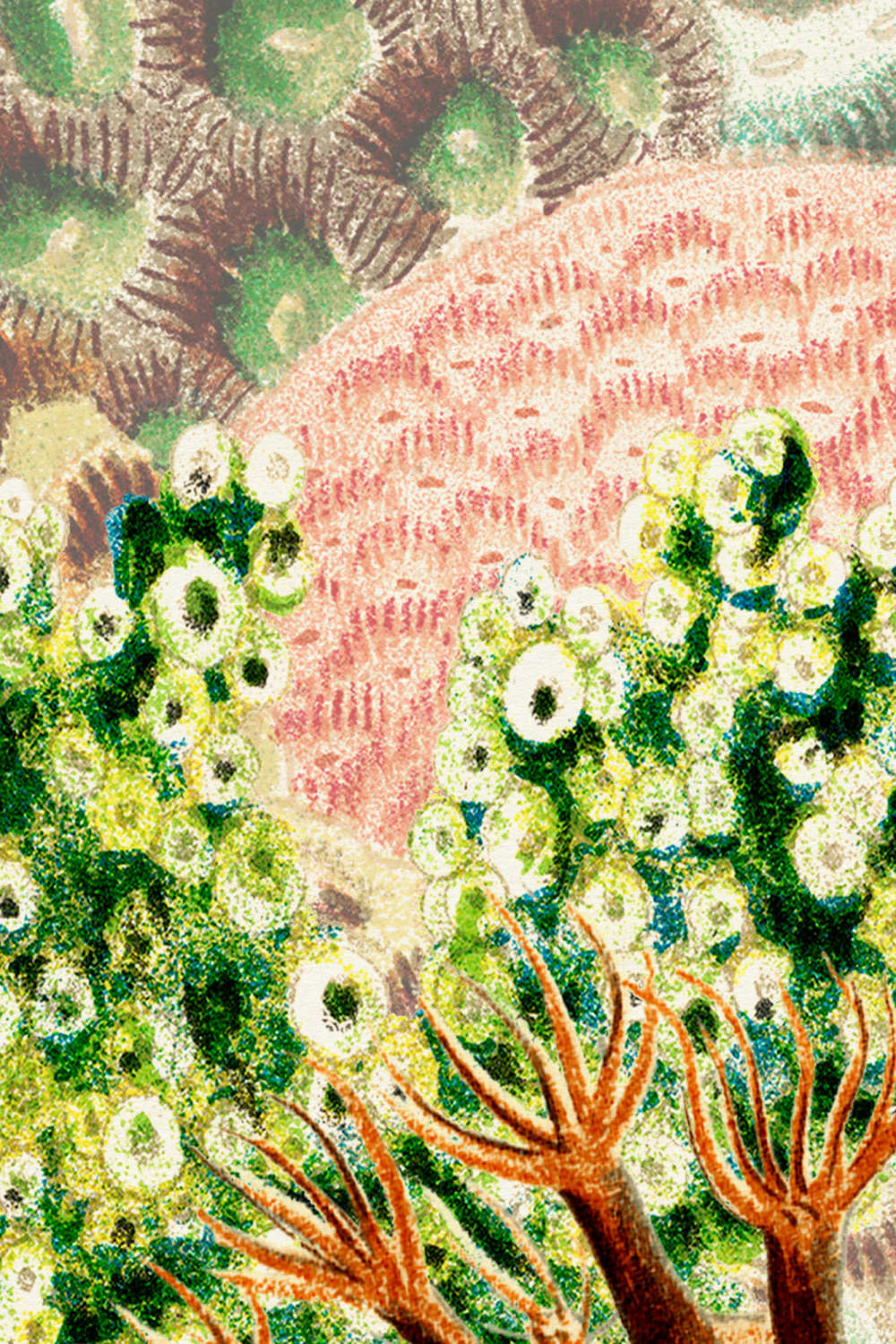 Fargerike vintage illustrasjoner Coral Reef fototapet