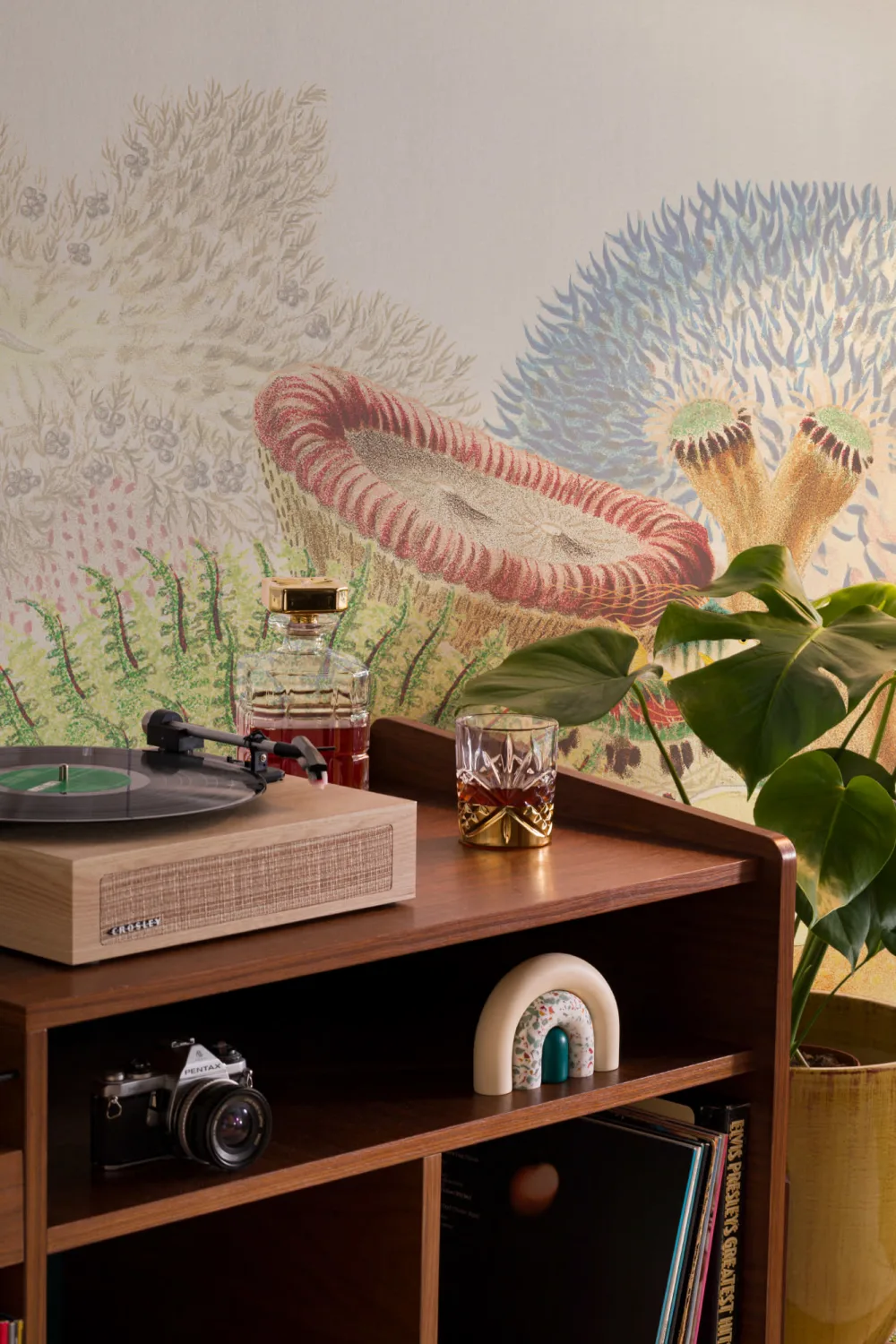 Fargerike vintage illustrasjoner Coral Reef fototapet