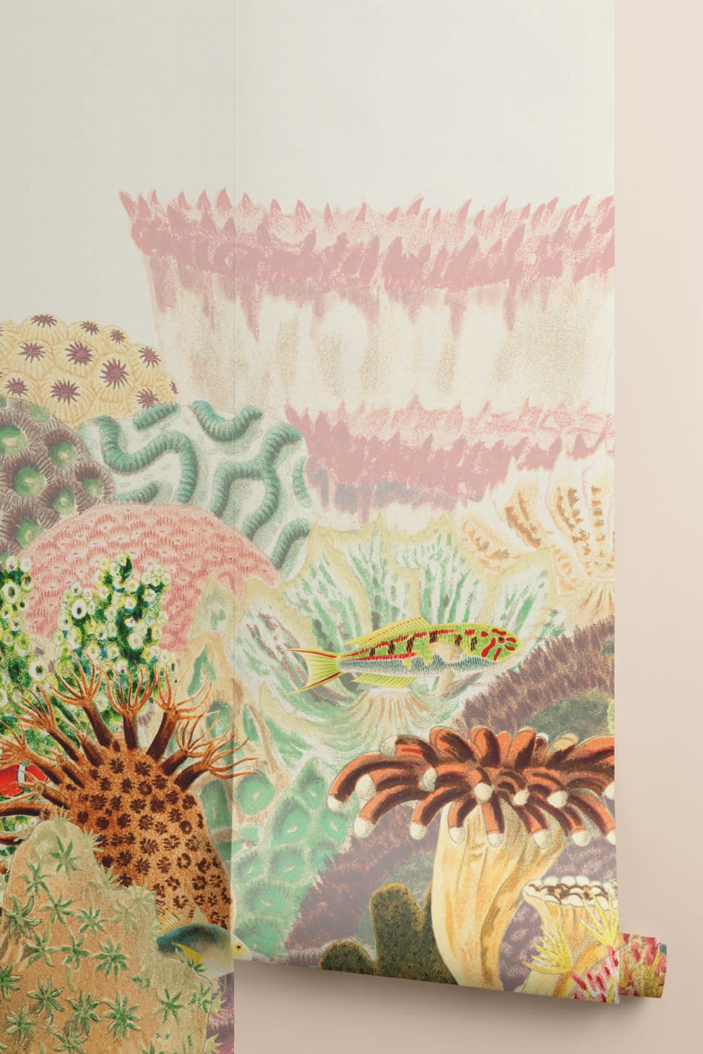 Fargerike vintage illustrasjoner Coral Reef fototapet