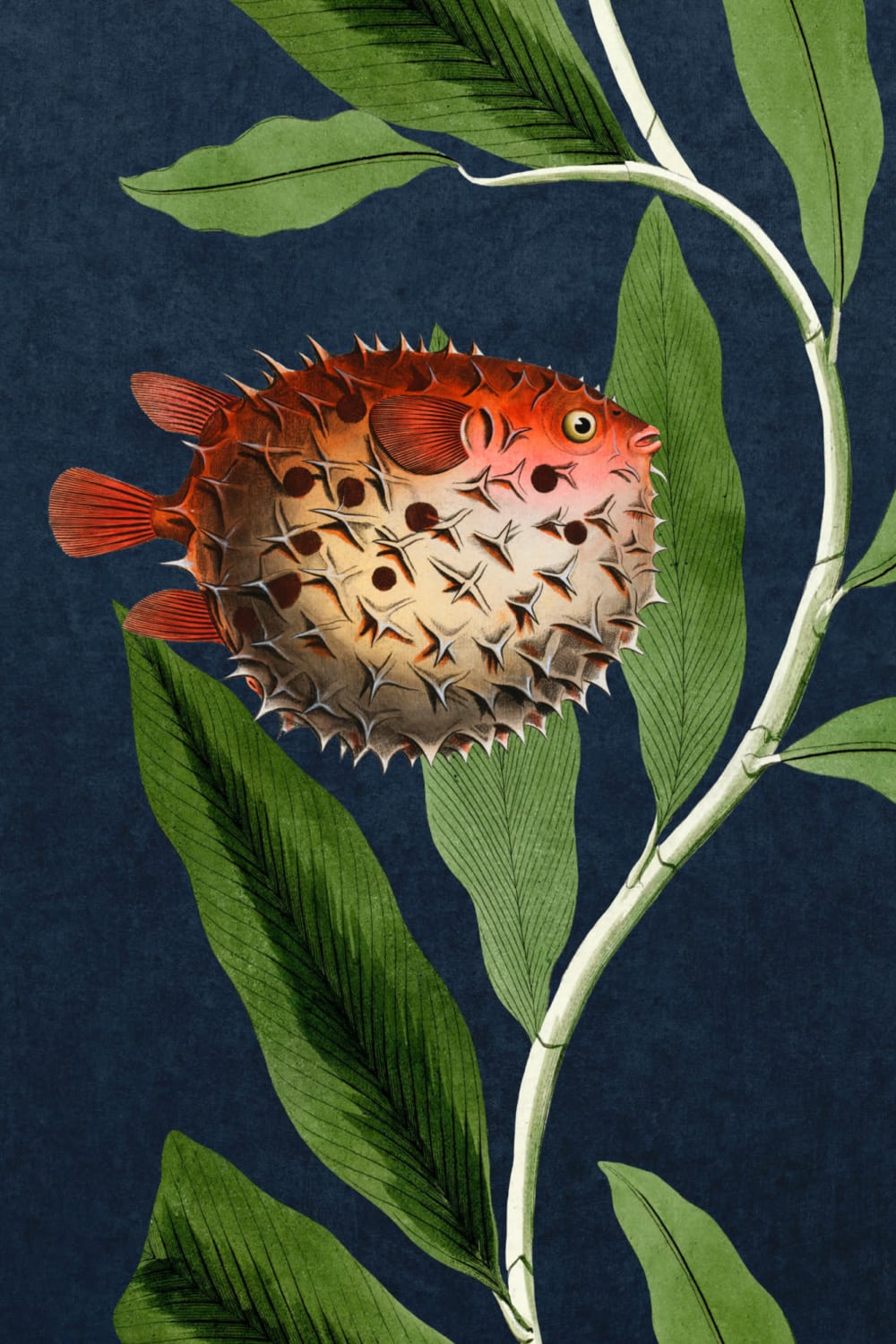 Navy Fish & Seaweed vedenalainen seinämaalaus