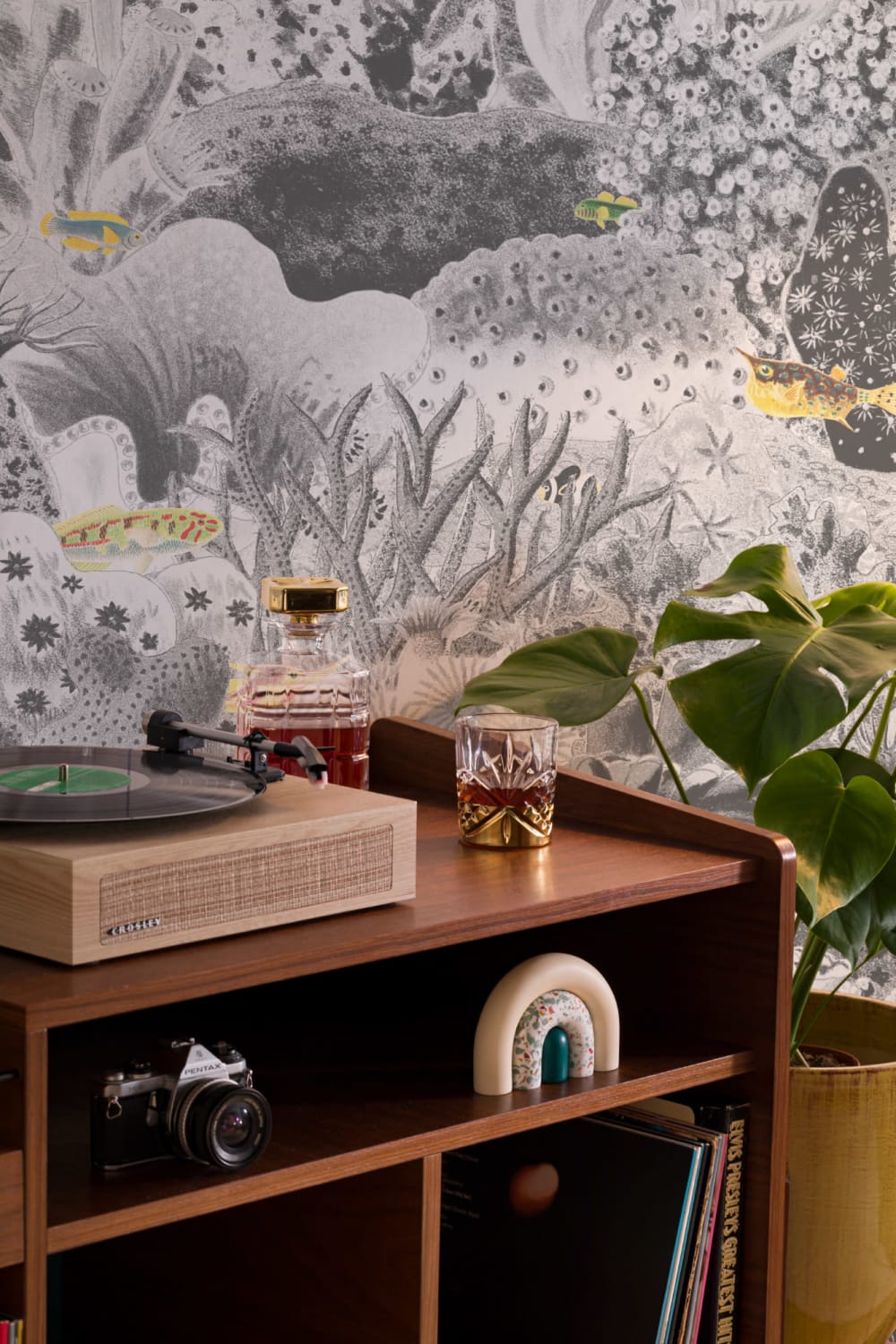 Gray Vintage Illustrations Marine Plants Mural