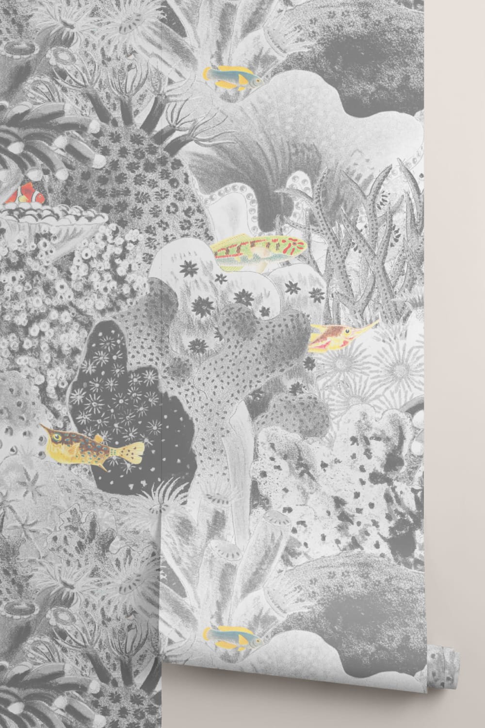 Gray Vintage Illustrations Marine Plants Mural