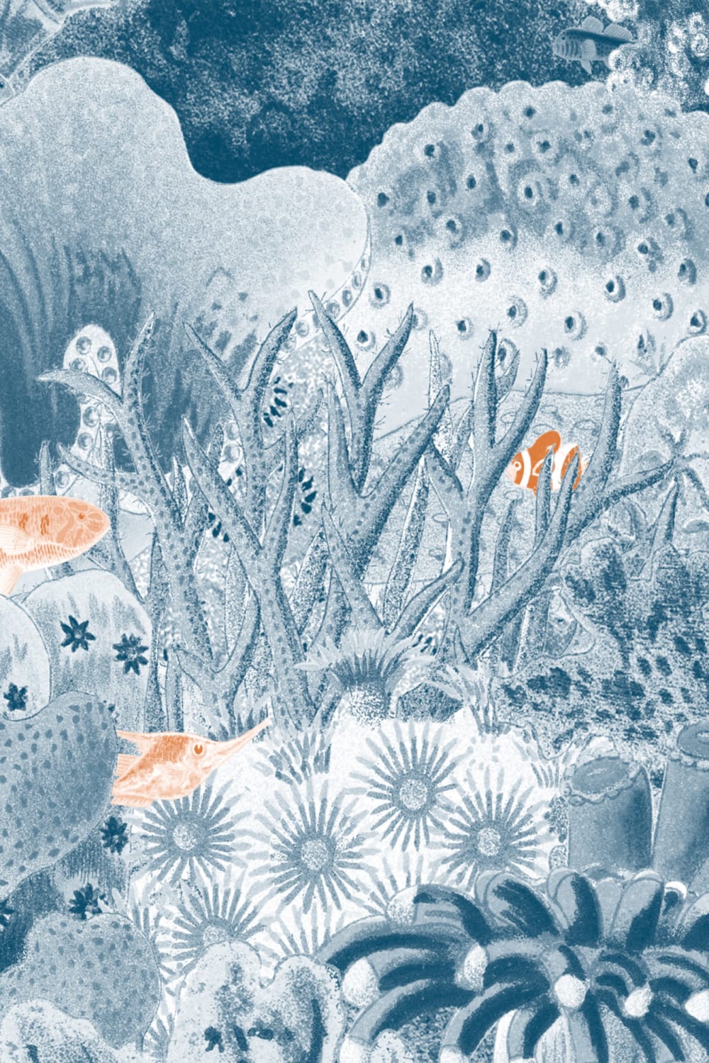 Papel de parede de Vida marinha com ilustrações vintage da Marinha