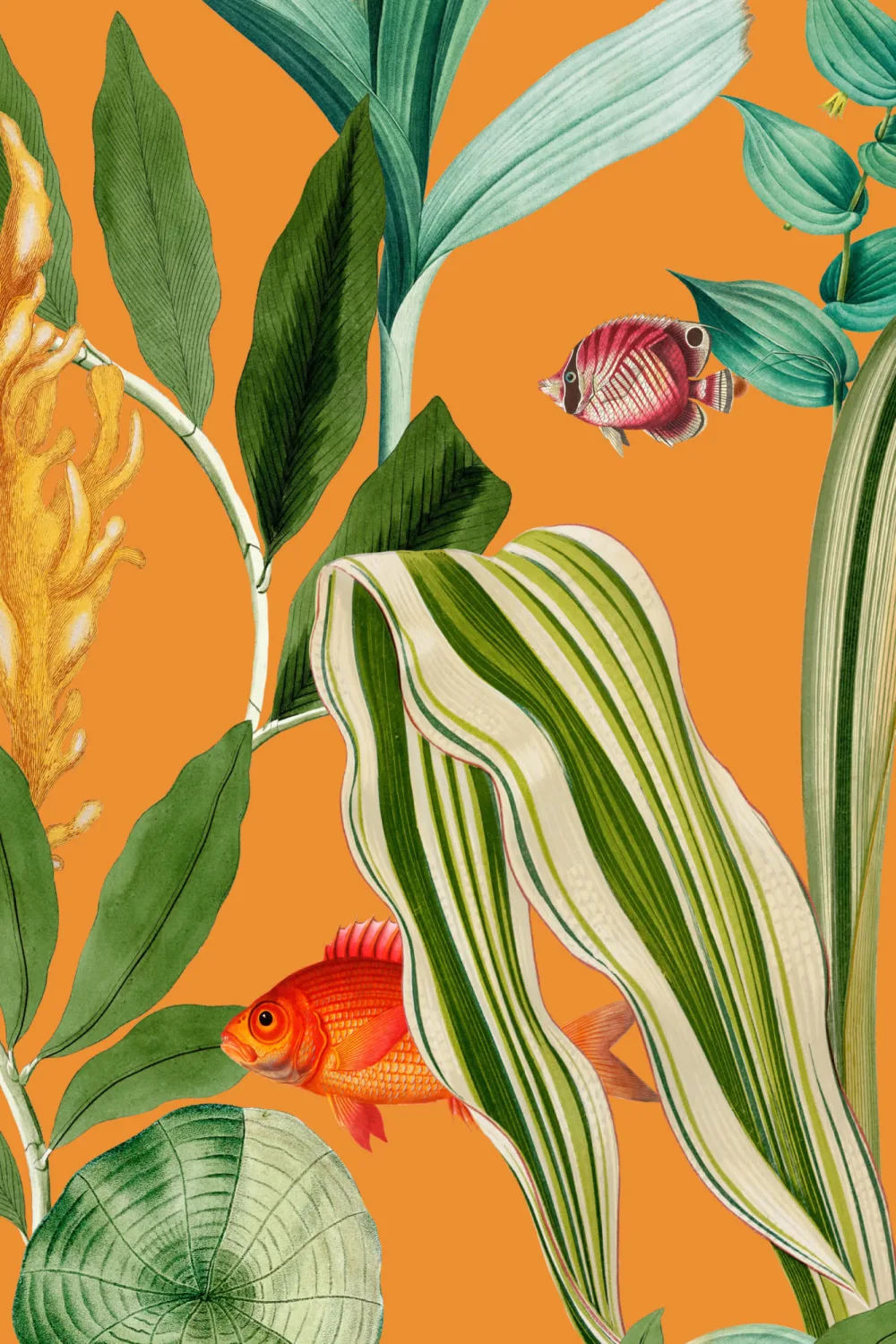 Oranje Vis & Planten Kustbehang
