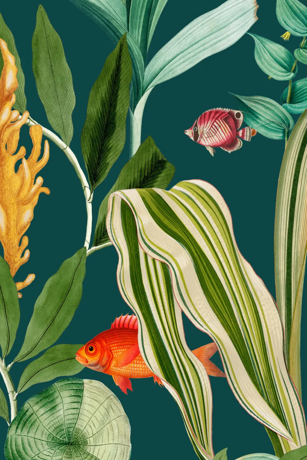 Papel pintado costero de Peces y plantas azul marino