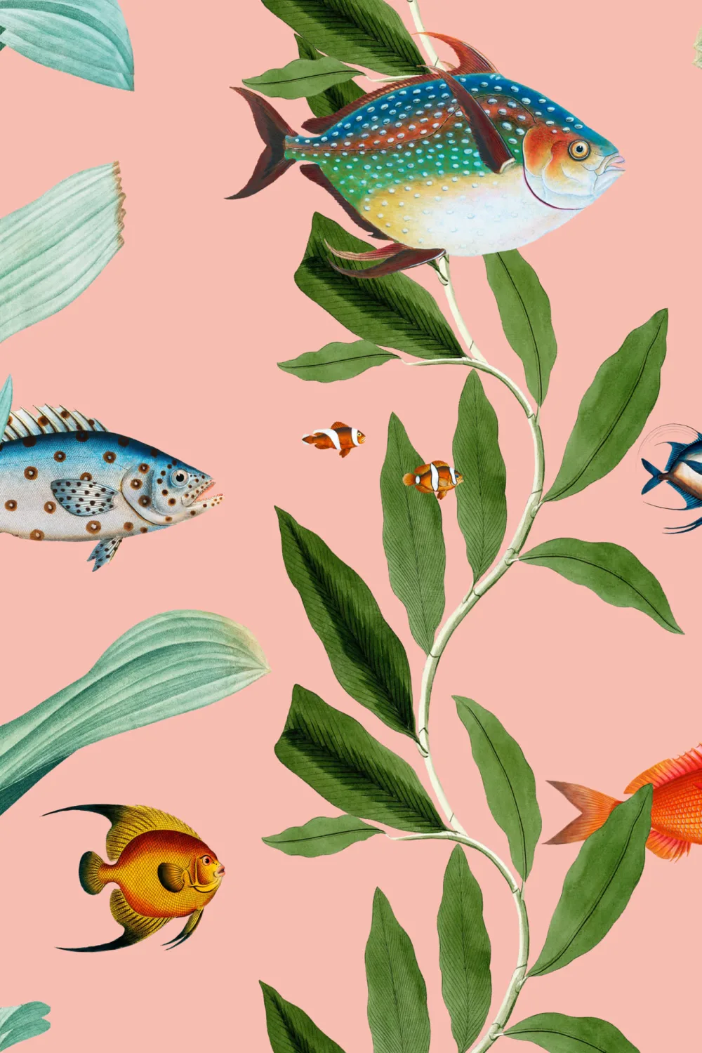 Papier peint côtier de poissons roses et d'algues
