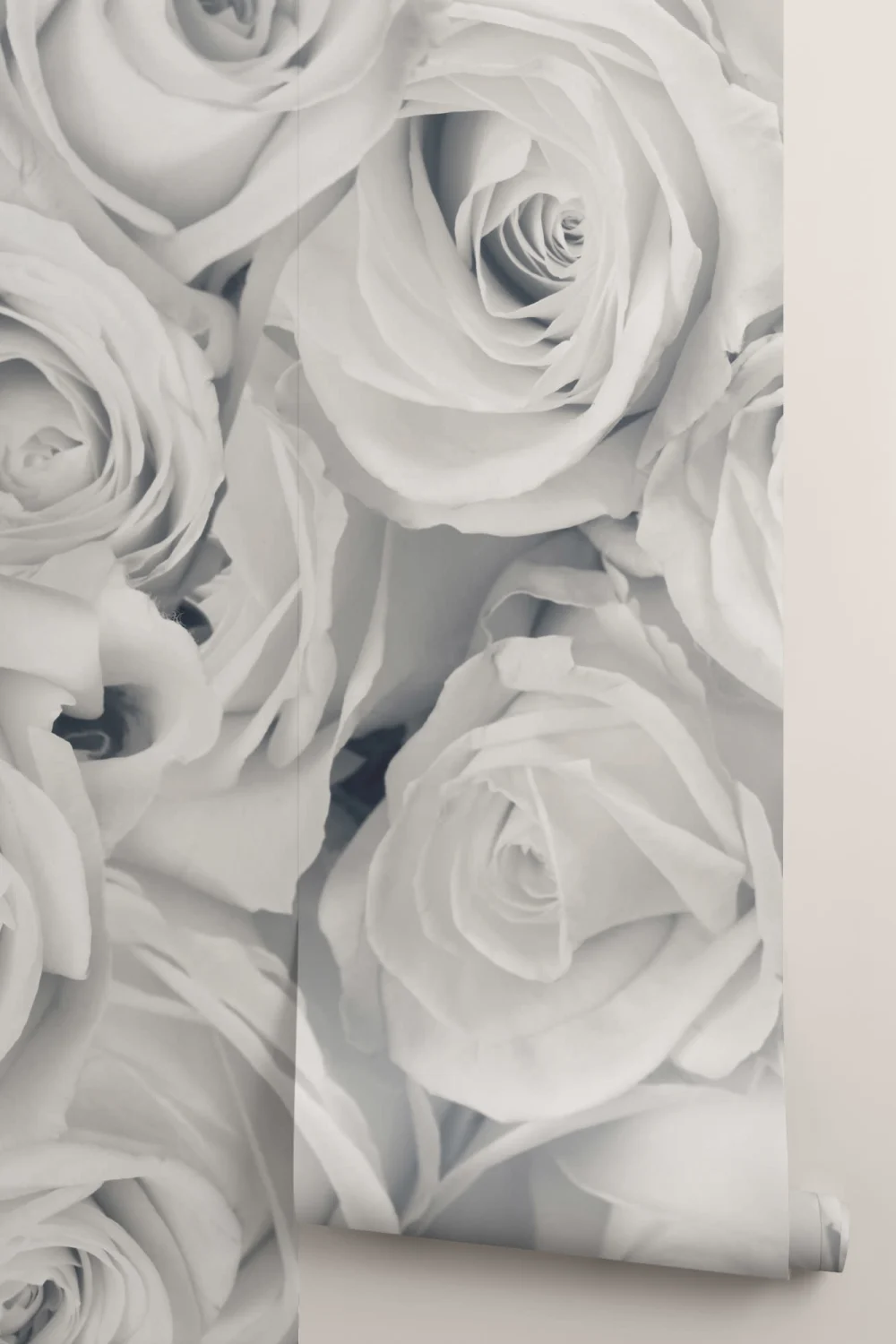 Rose Mist Wallpaper Mural