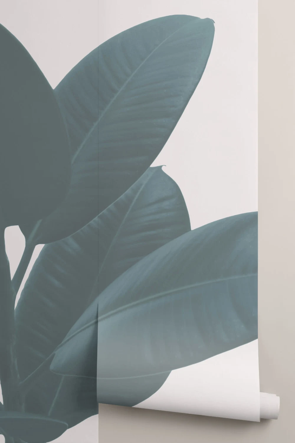 Rubber Plant Wallpaper Mural