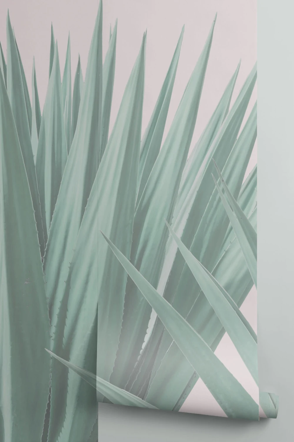 Agave Plant Wallpaper Mural