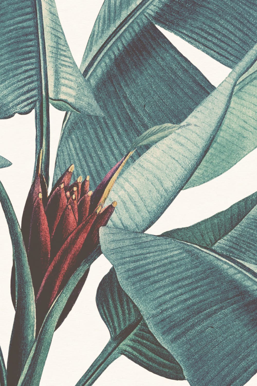 Pink & Teal Vintage Tropical Wall Mural