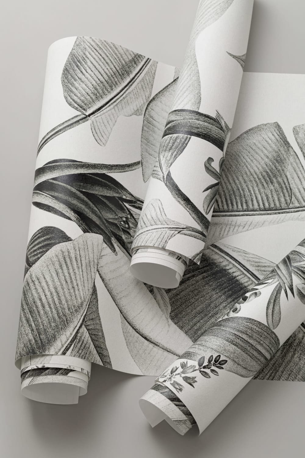 Grayscale Vintage Tropical Plants Wallpaper Mural