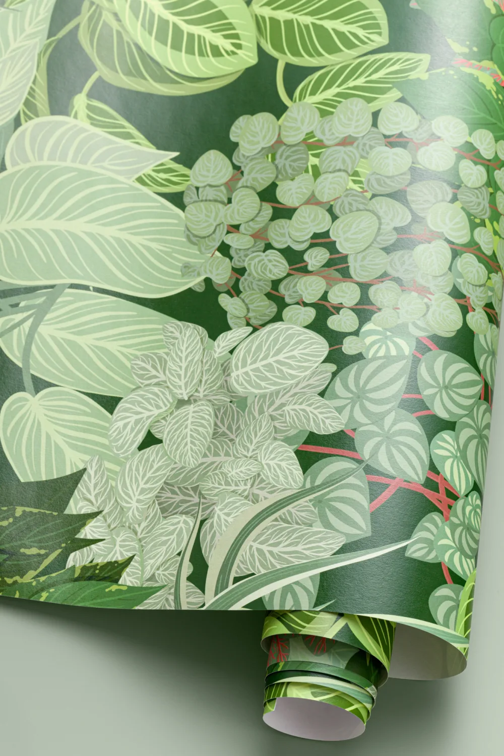 Papel Pintado Jardín Vertical Verde con Motivo de Plantas de Interior