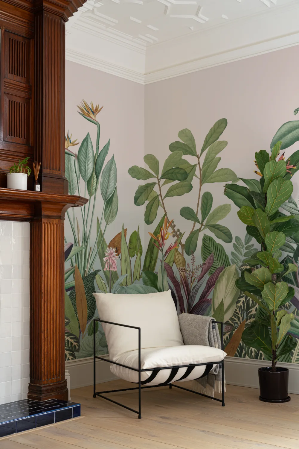 Plantas Tropicais Paisagem da Selva Papel de Parede Mural
