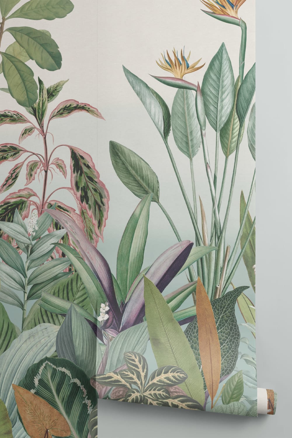 Plantas Tropicais Paisagem da Selva Papel de Parede Mural