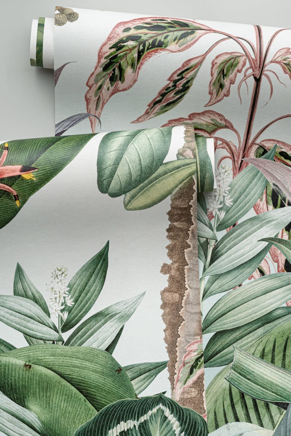 Plantas Tropicais Paisagem da Selva Papel de Parede Mural