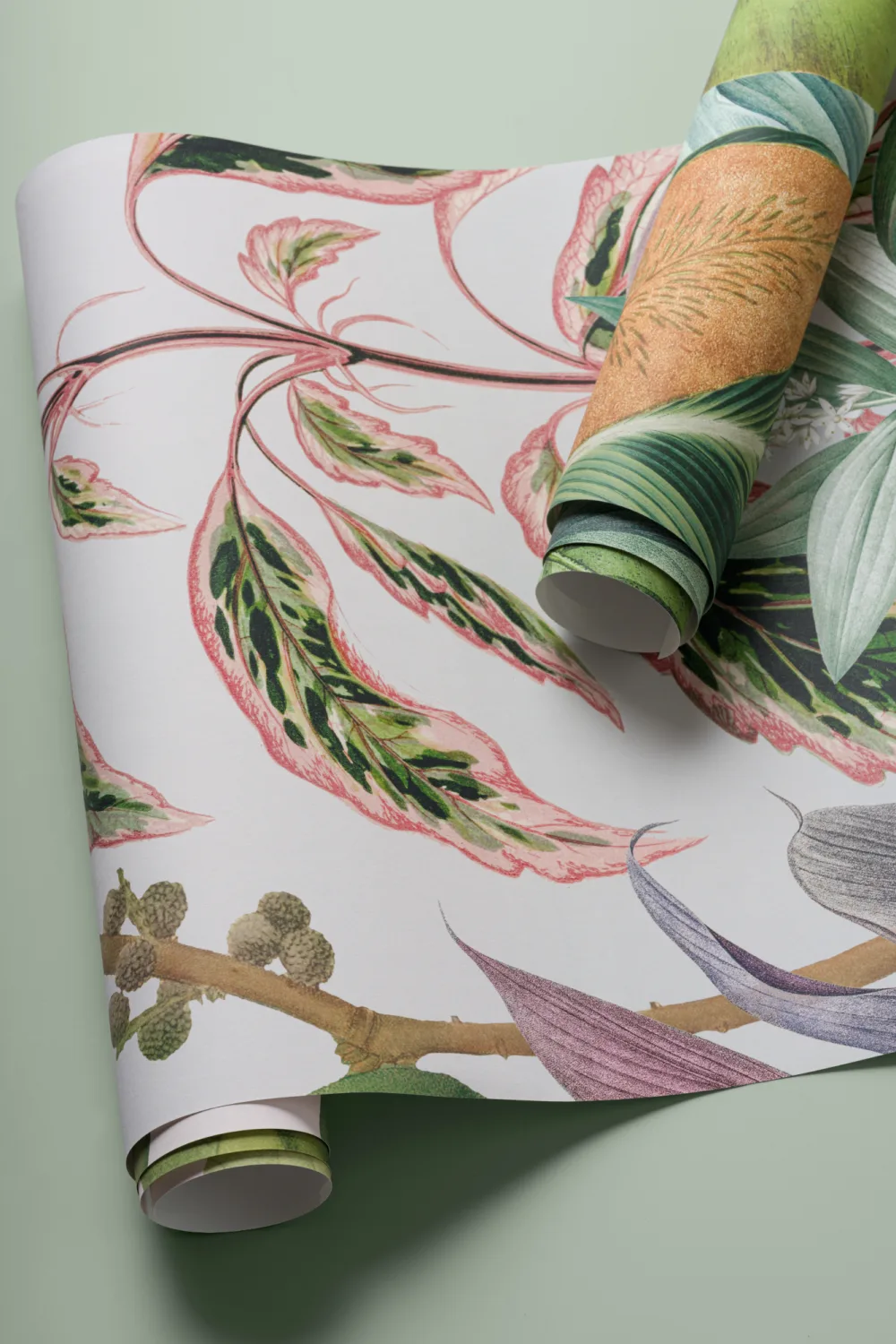 Plantas Tropicais Paisagem da Selva Papel de Parede Mural