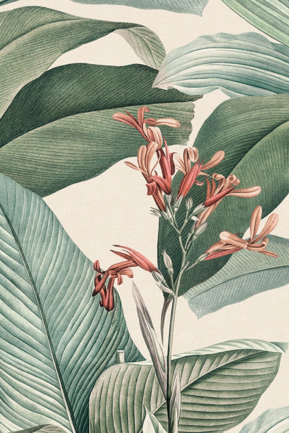 Peach Chic Vintage Tropical Repeat Pattern Wallpaper