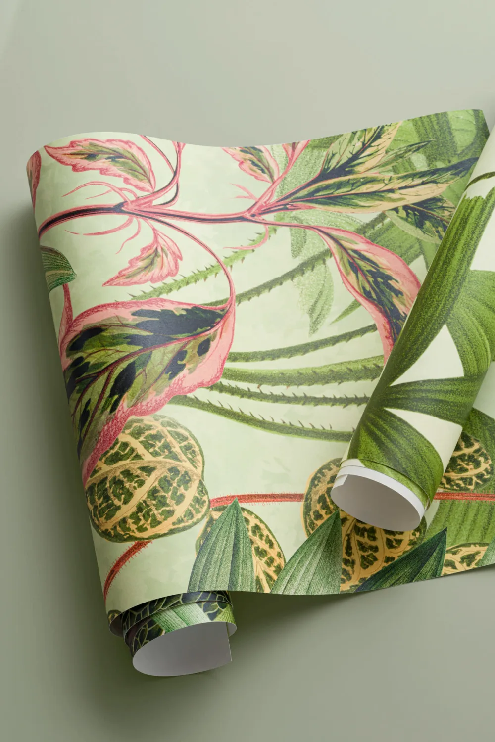 Vintage Tropical Botanics Green Wall Mural