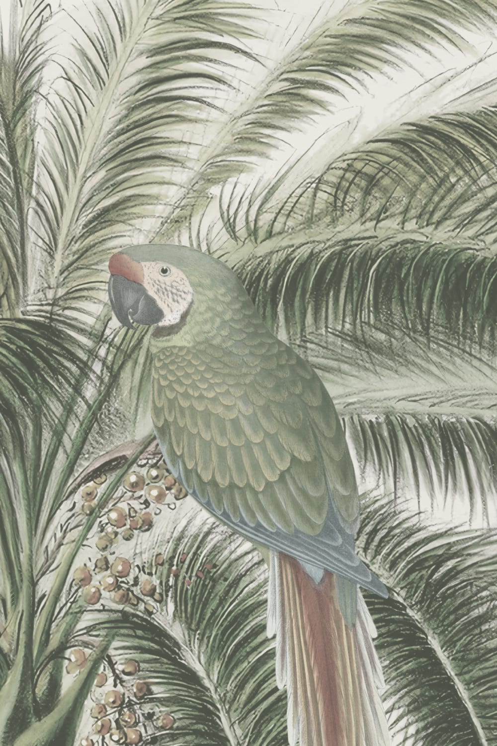 Klassisk illustrerad tropisk botanisk mural-tapeter