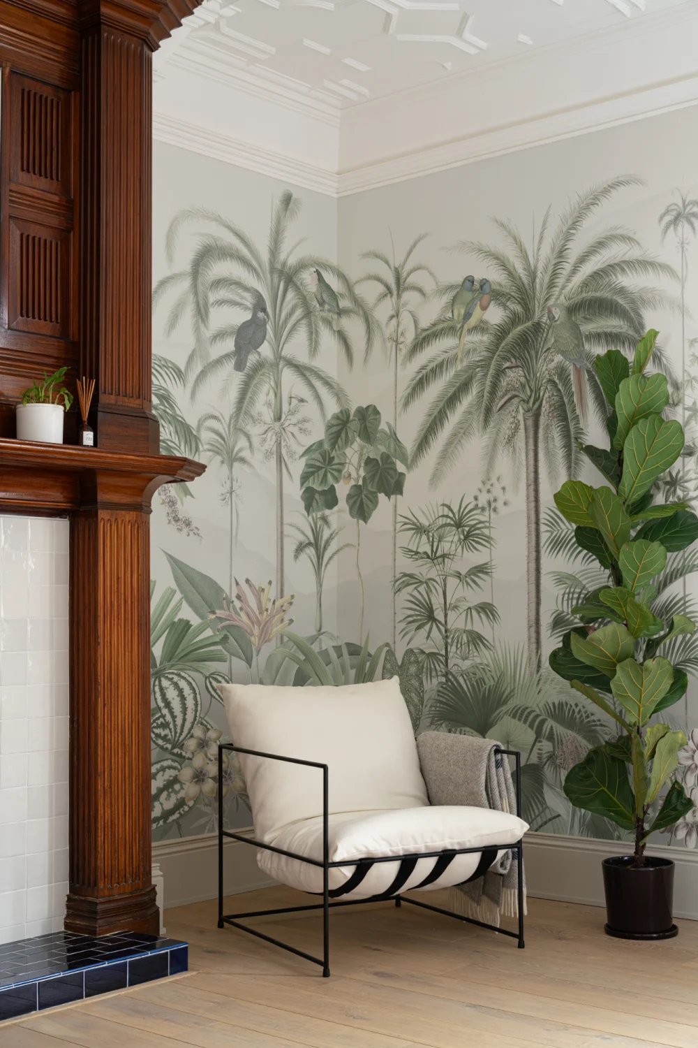 Klassisk illustrerad tropisk botanisk mural-tapeter