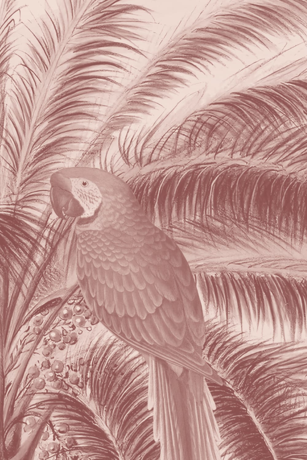 Carta da parati rosa illustrata in stile botanico tropicale