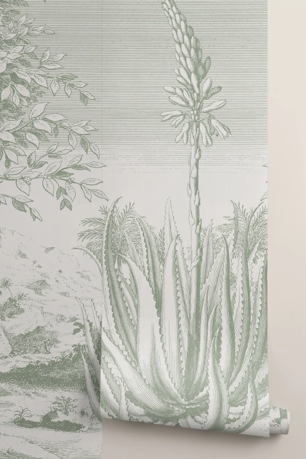 Green Aloe Vera Botanical Mural