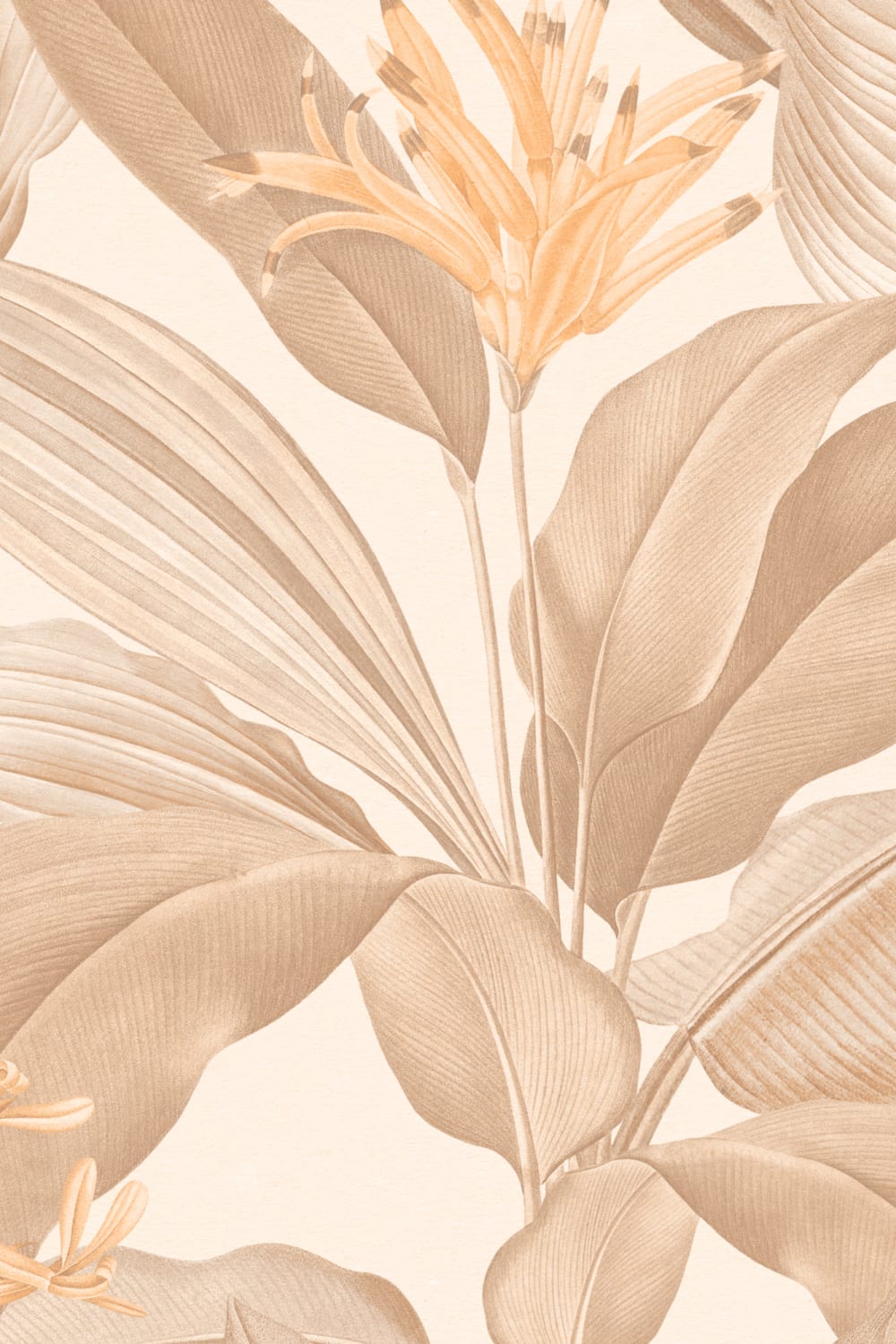 Carta da parati Botanist Neutral Vintage Botanical in morbidi e caldi toni beige