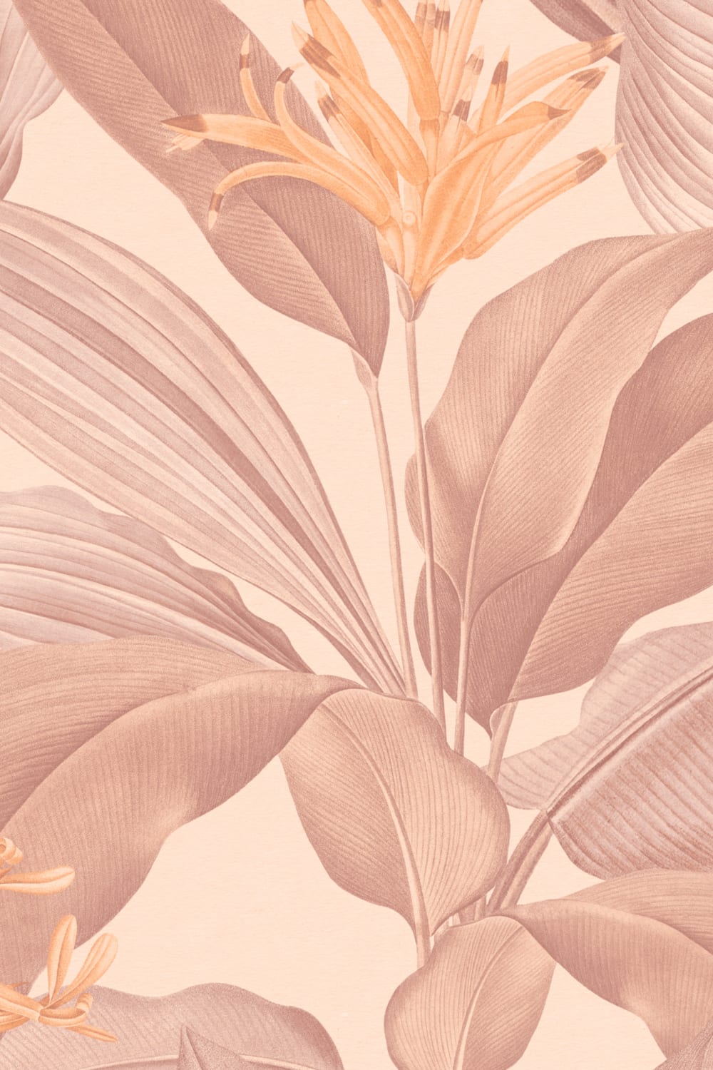 Papier peint botanique vintage Botanist Blush dans des tons floraux roses doux
