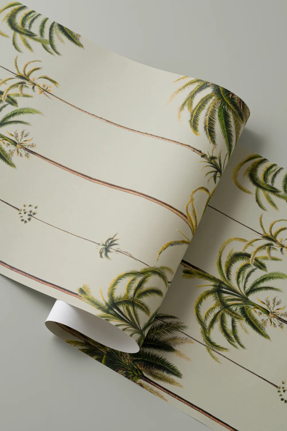 Tapet clasic cu dungi tropicale Palms