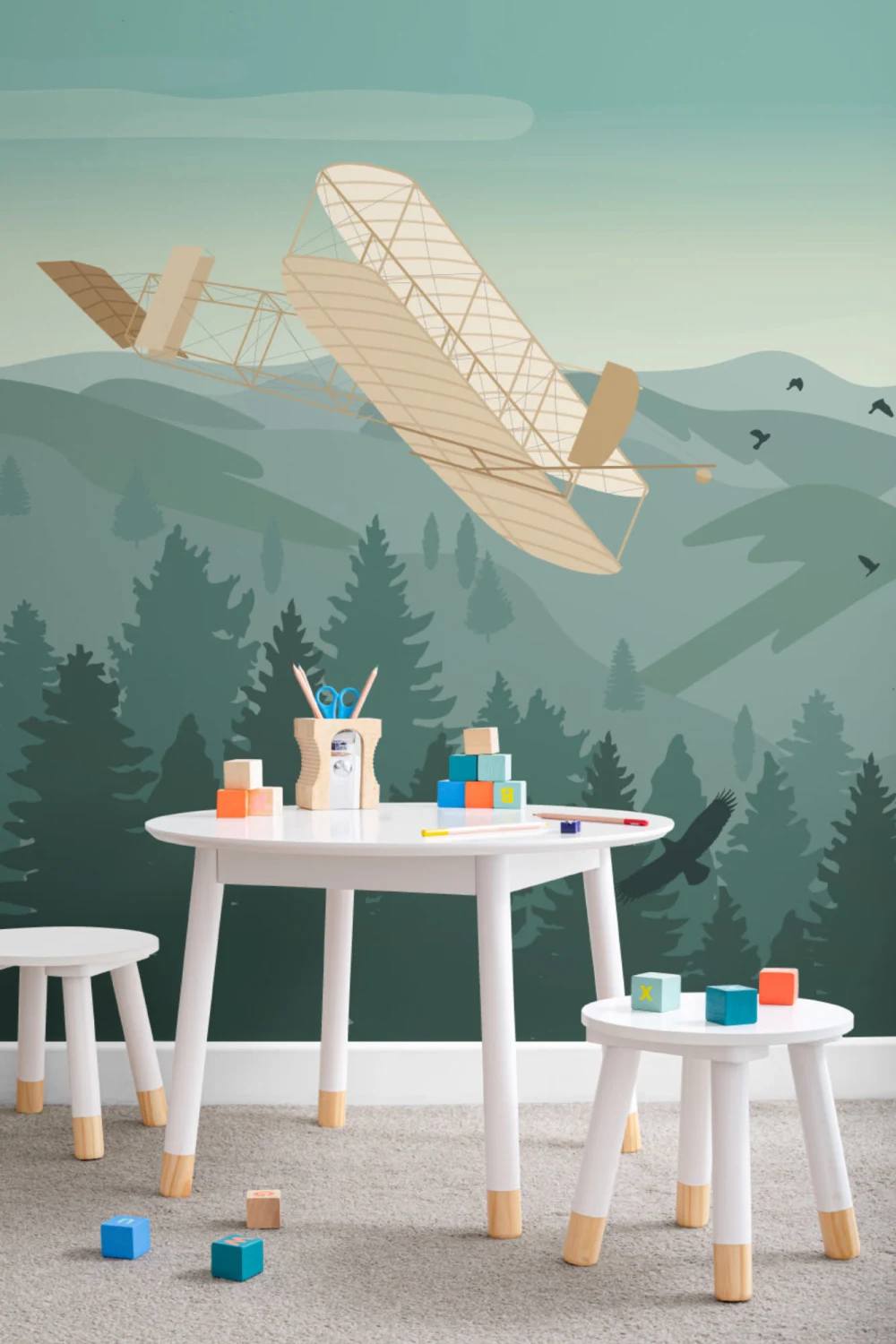 Wrights Brothers Vintage Plane Wallpaper Mural