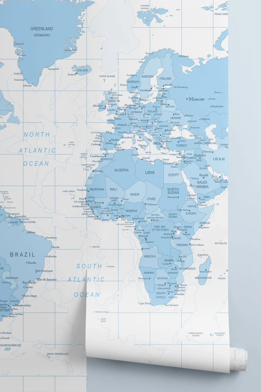 Blue Detailed World Map Wallpaper Mural