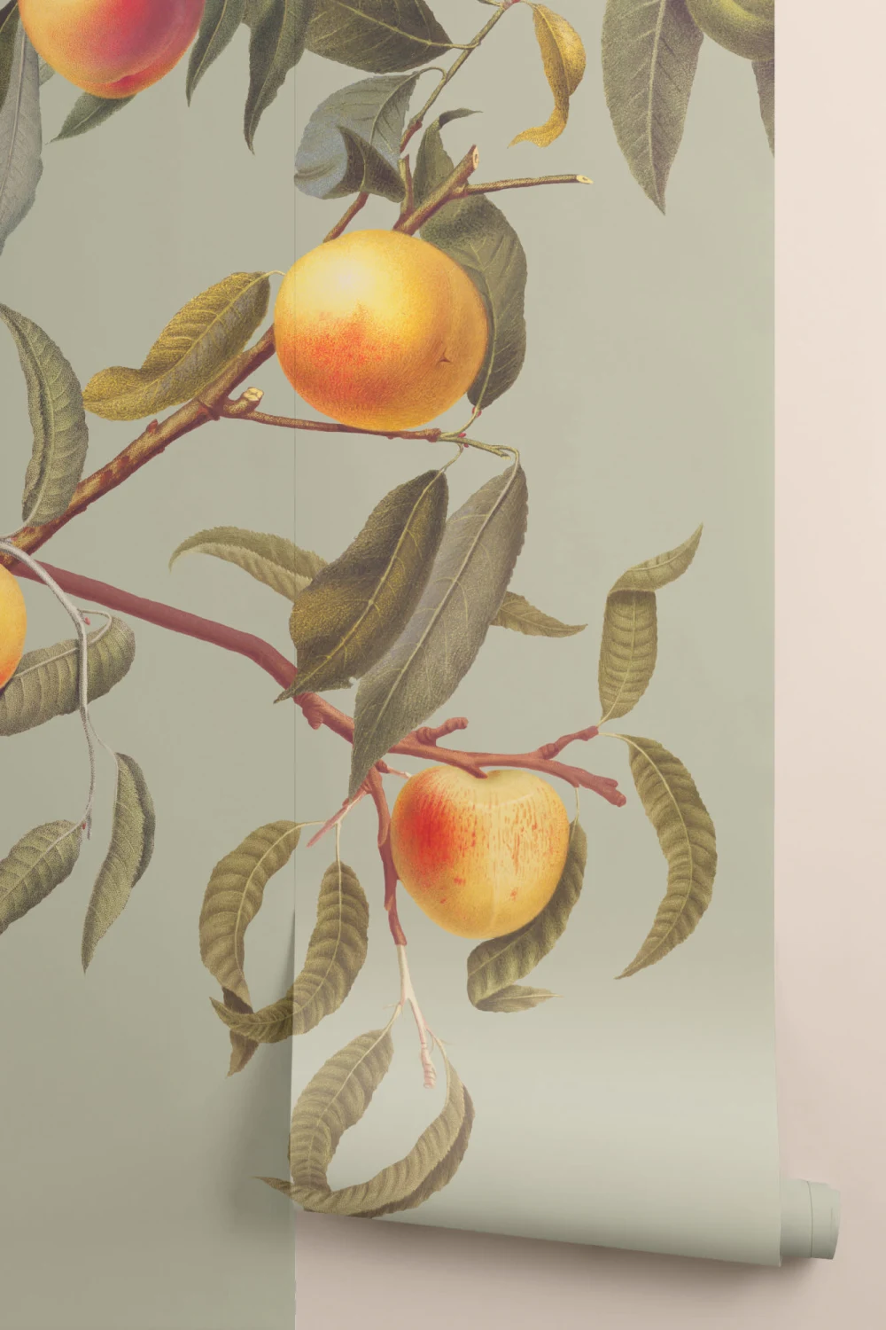 Vintage Green Botanical Peach Tree Wallpaper Mural