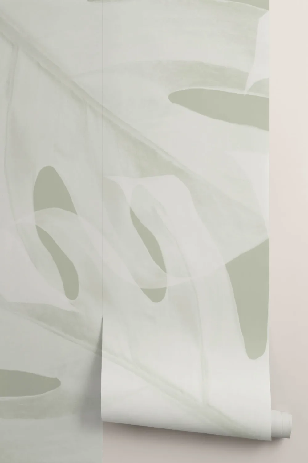 Fototapete mit Salbeigrünem Monstera-Blatt