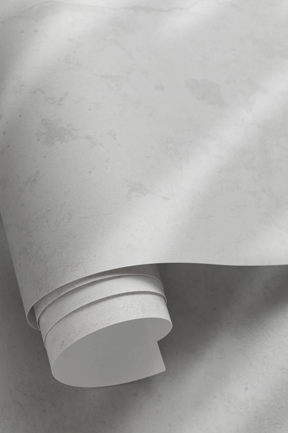 Gray Palm Leaf Shadow Concrete Effect Wallpaper Mural