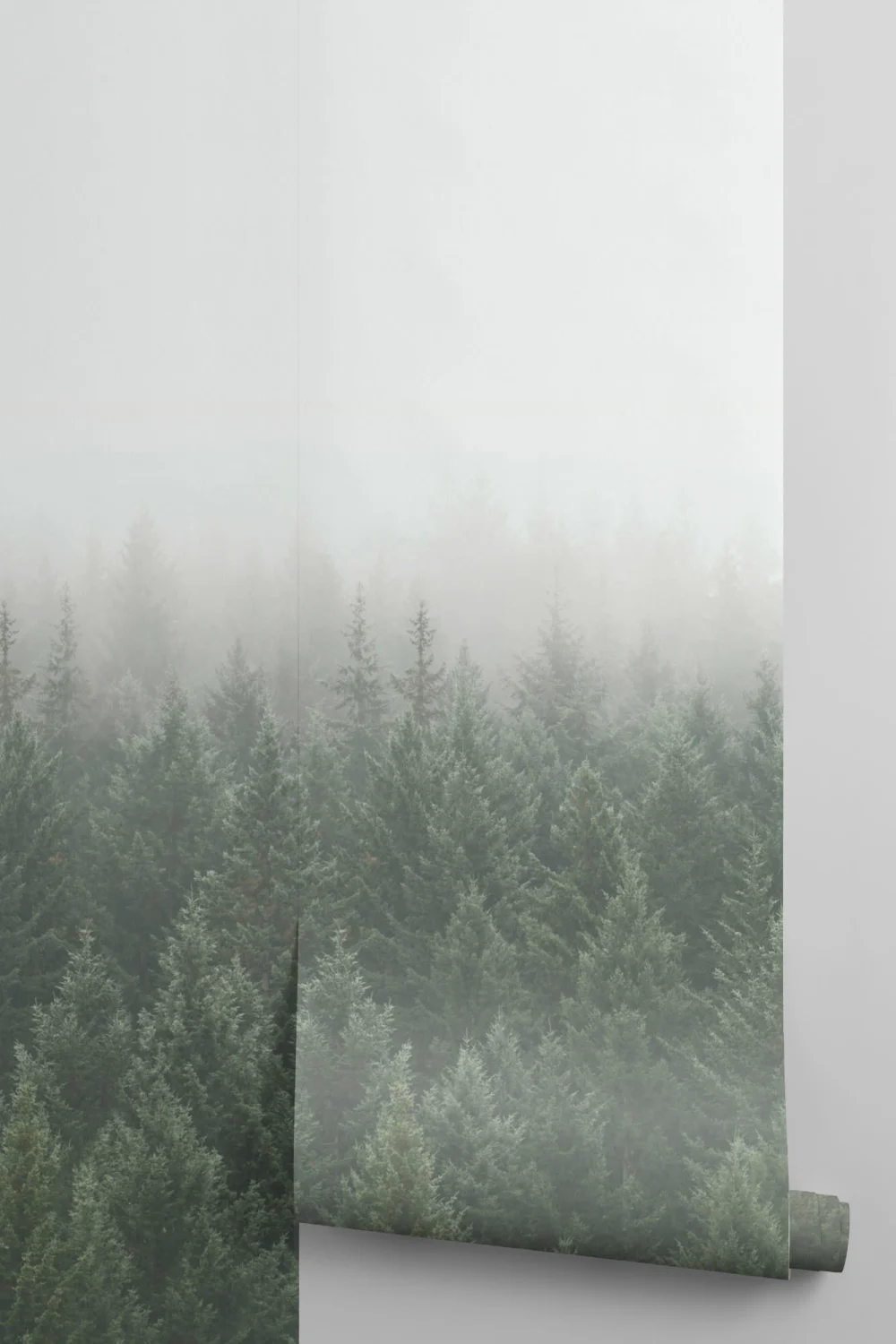 Krispiga tallar Skog Fototapet