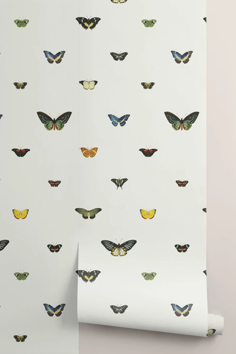 Vintage Butterfly Wallpaper Mural