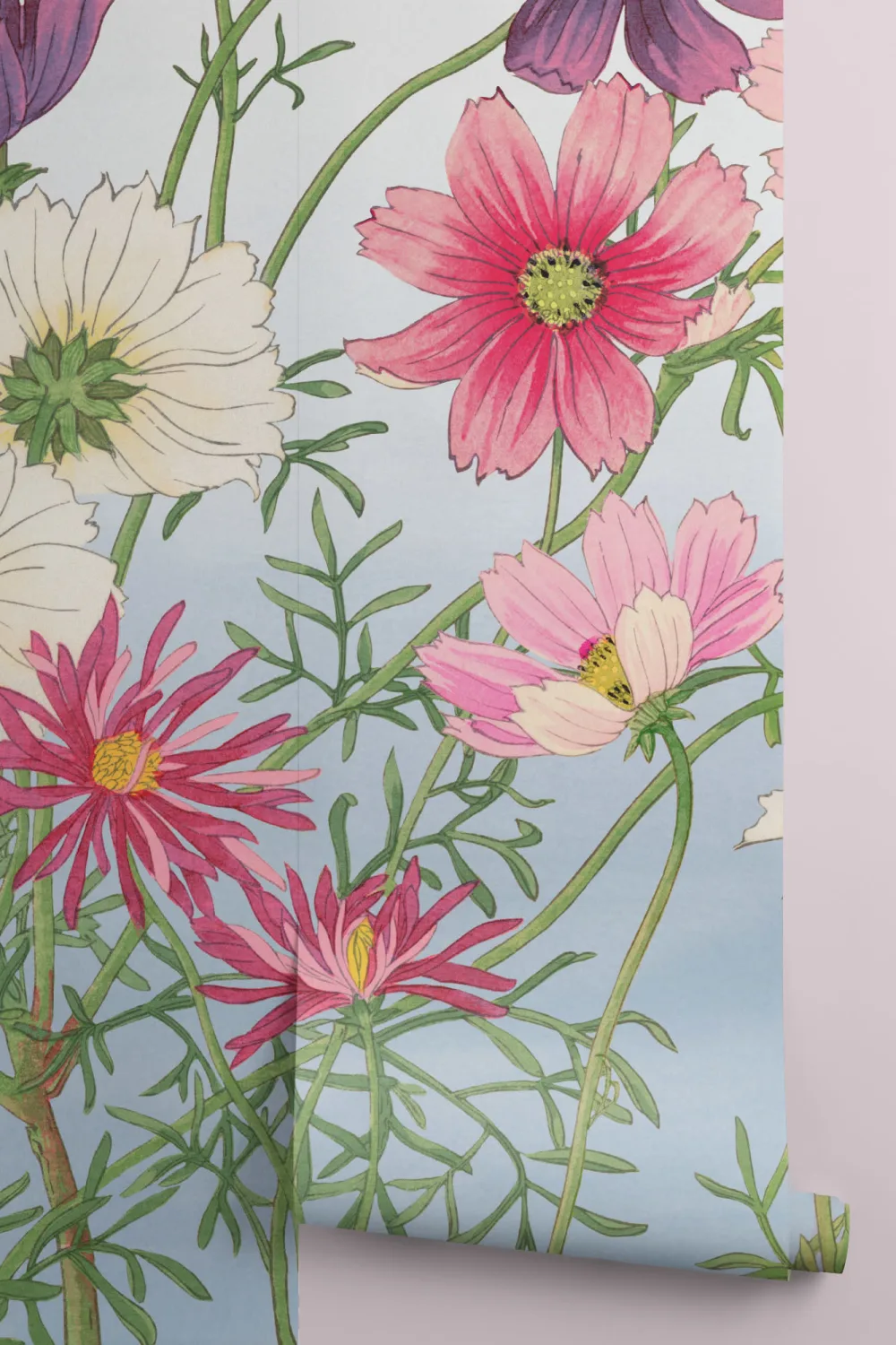 Cosmos aquarelle japonaise murale florale