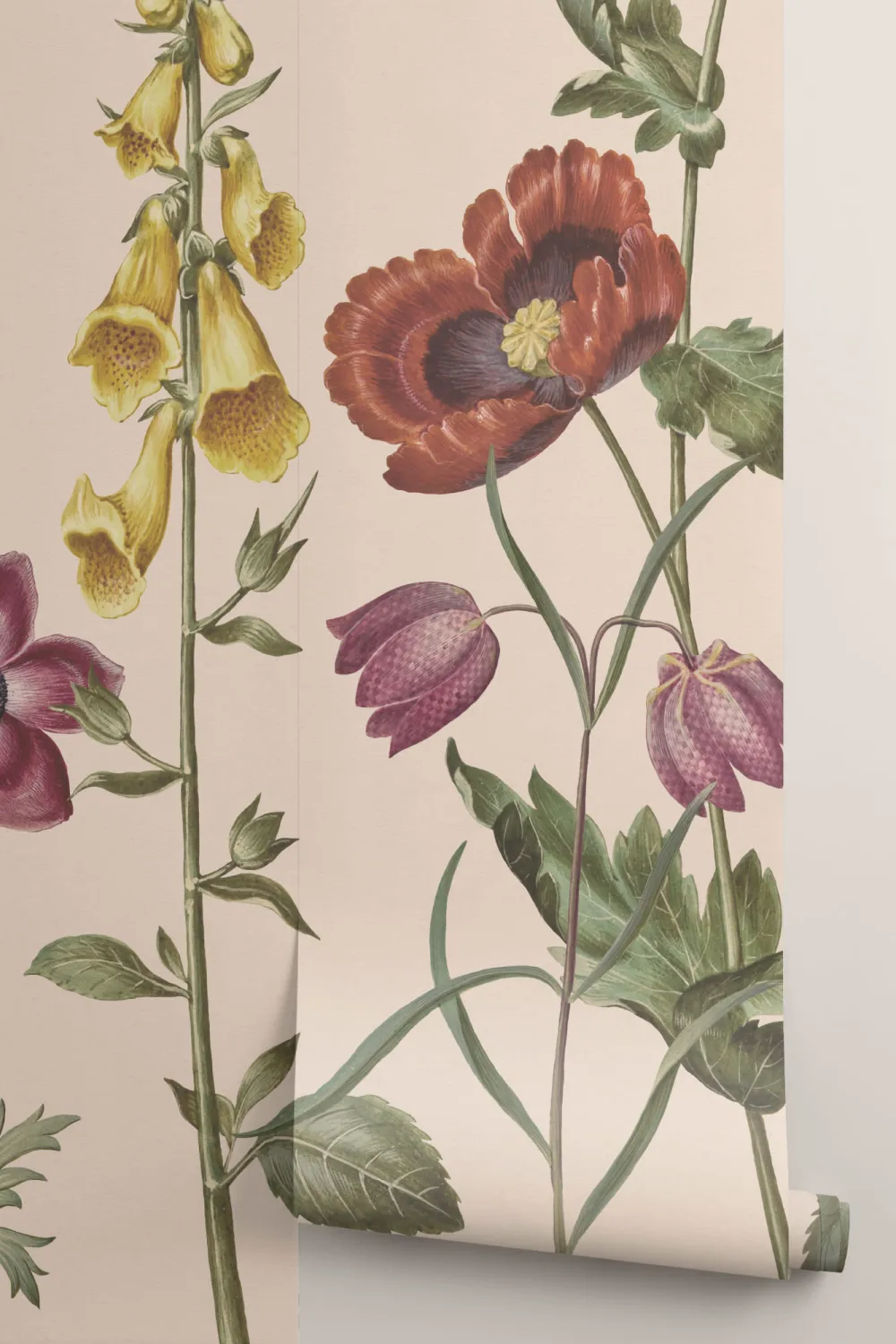 Peintures murales de fleurs sauvages illustrées en beige