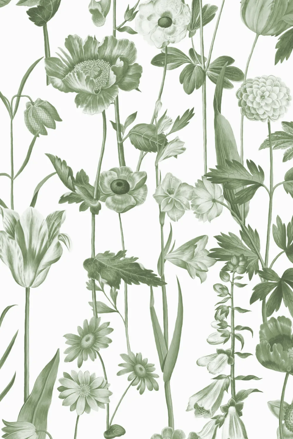 White Illustrated Wildflower Wallpaper
