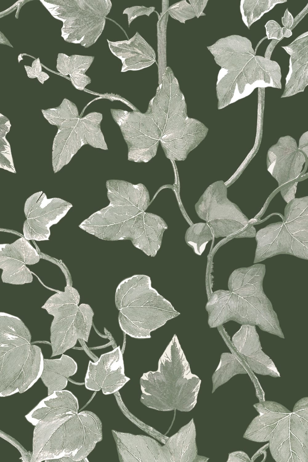 Papel pintado hiedra vintage verde