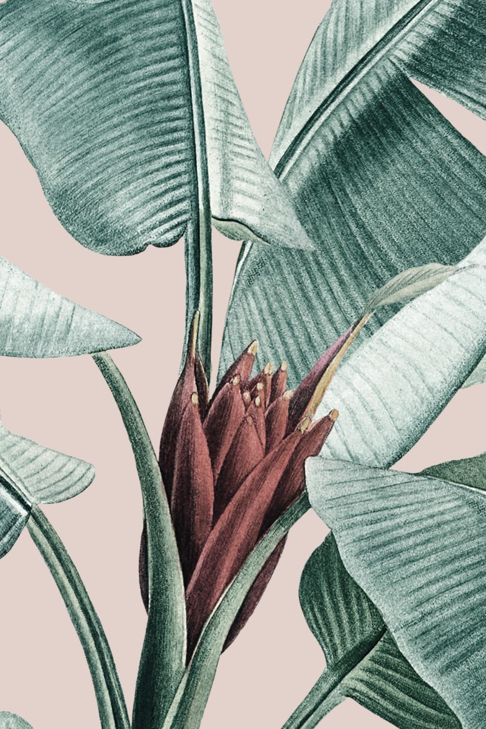 Pastel Pink & Green Vintage Tropical Wallpaper Mural