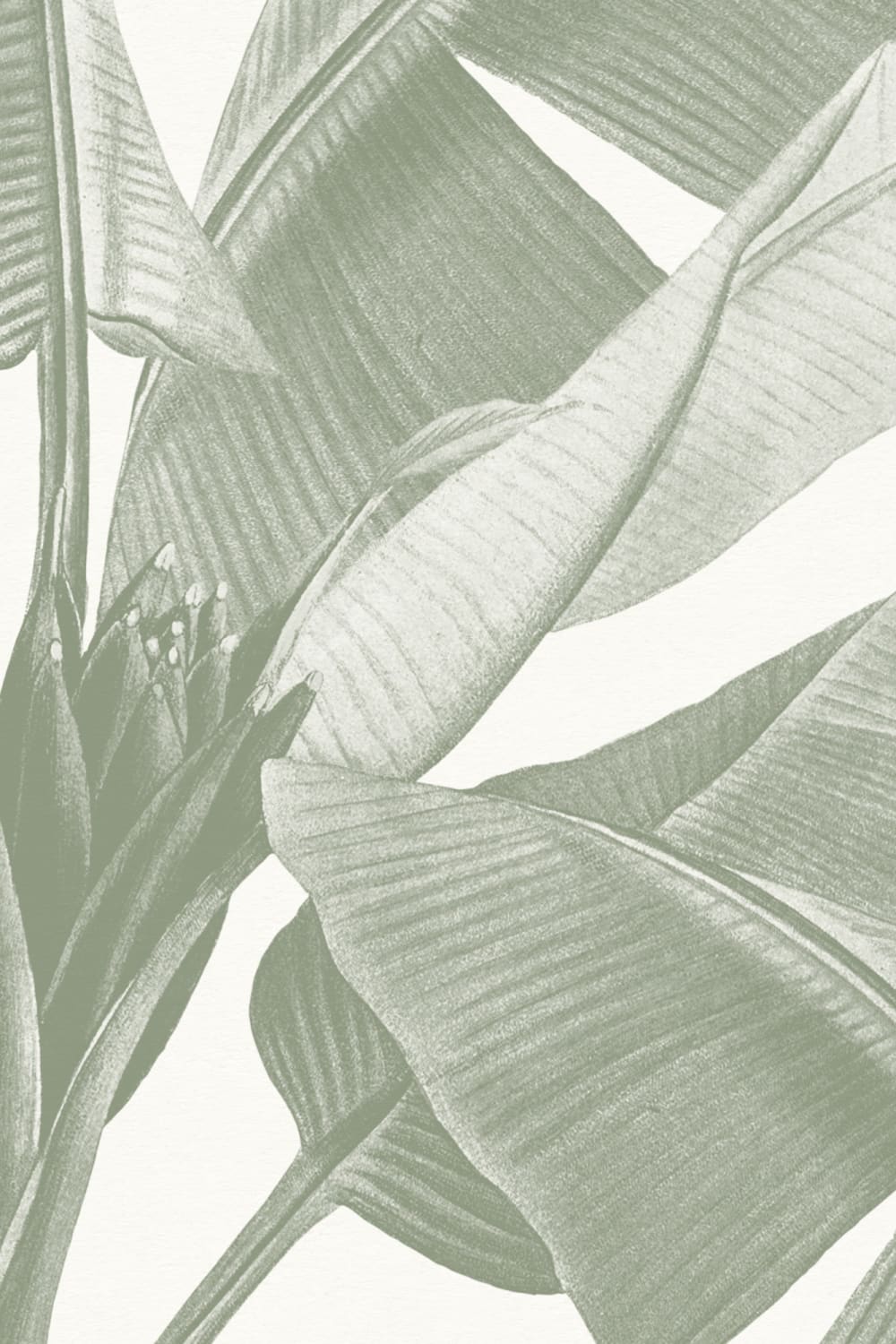 Sage Green Vintage Tropical Mural