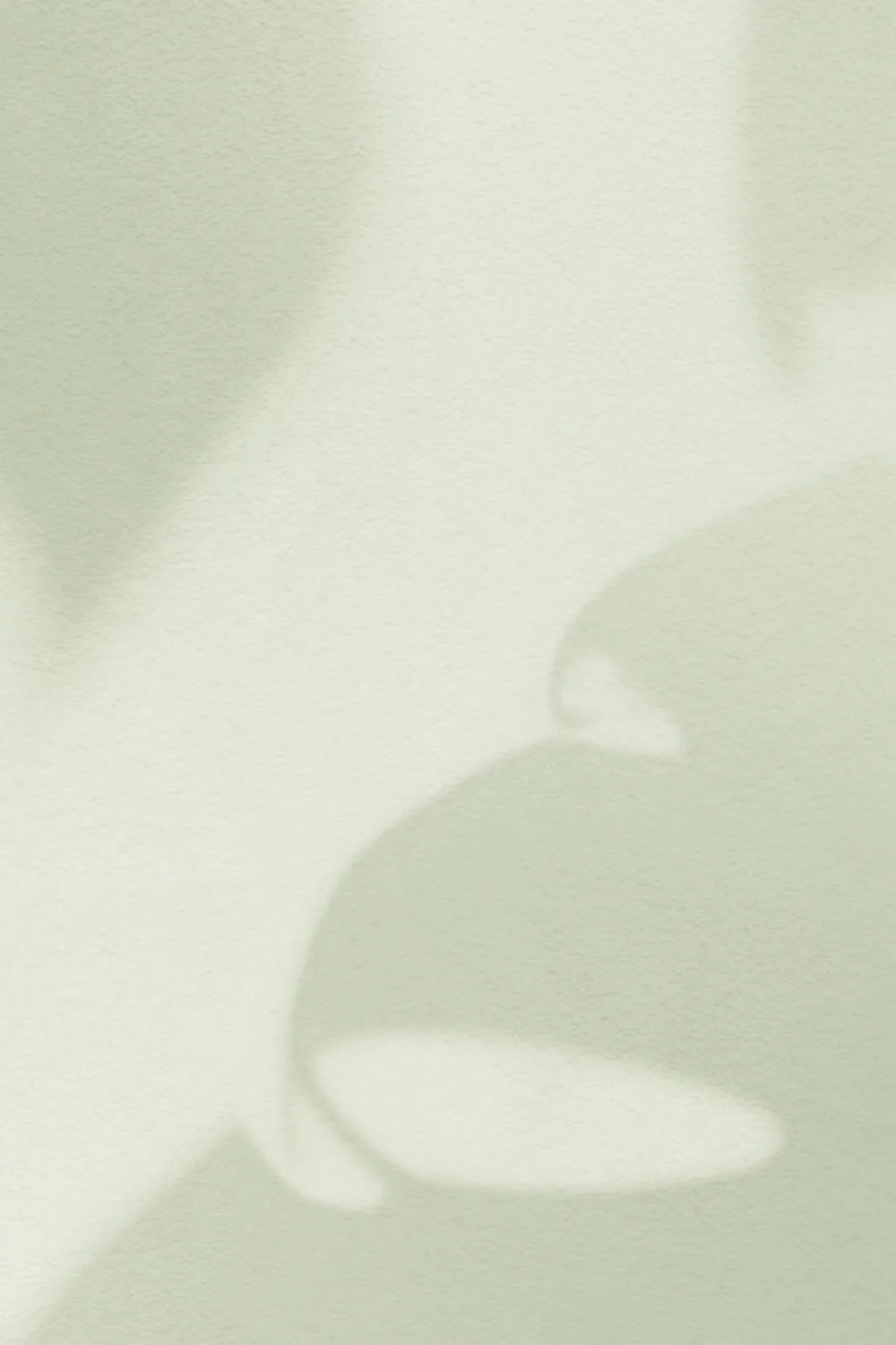Sage Green Monstera Leaf Shadow Mural